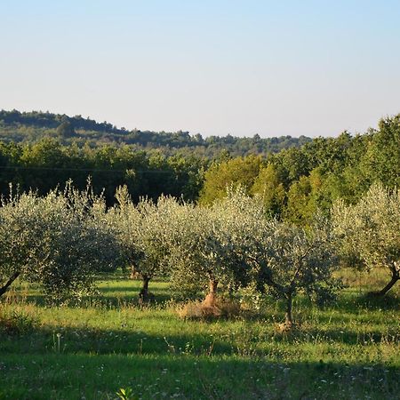Villa Olivetta By Istrian Country Houses Barat  Exteriér fotografie