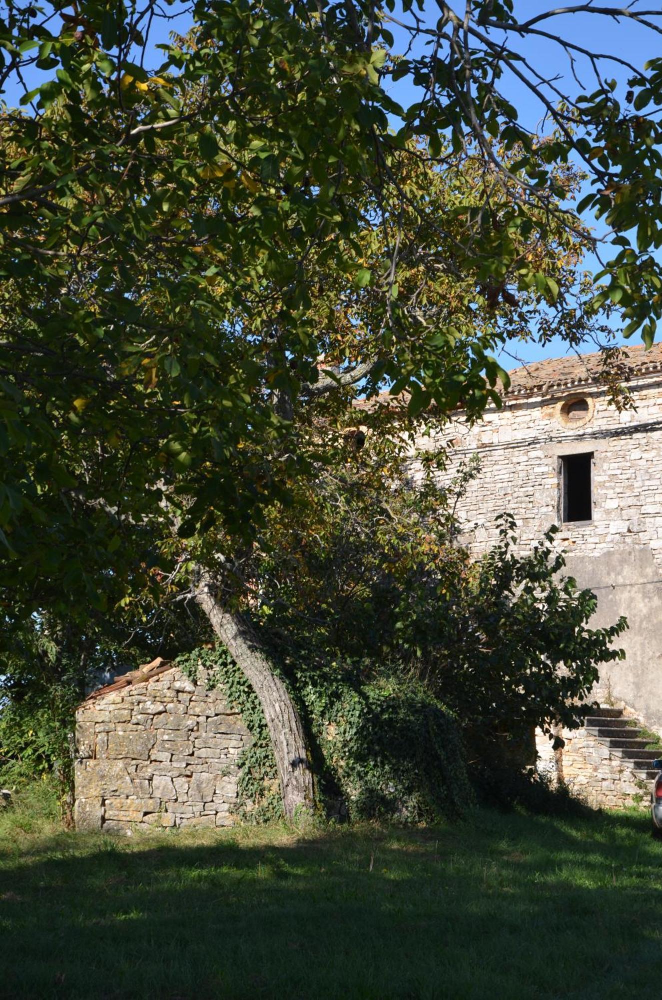Villa Olivetta By Istrian Country Houses Barat  Exteriér fotografie