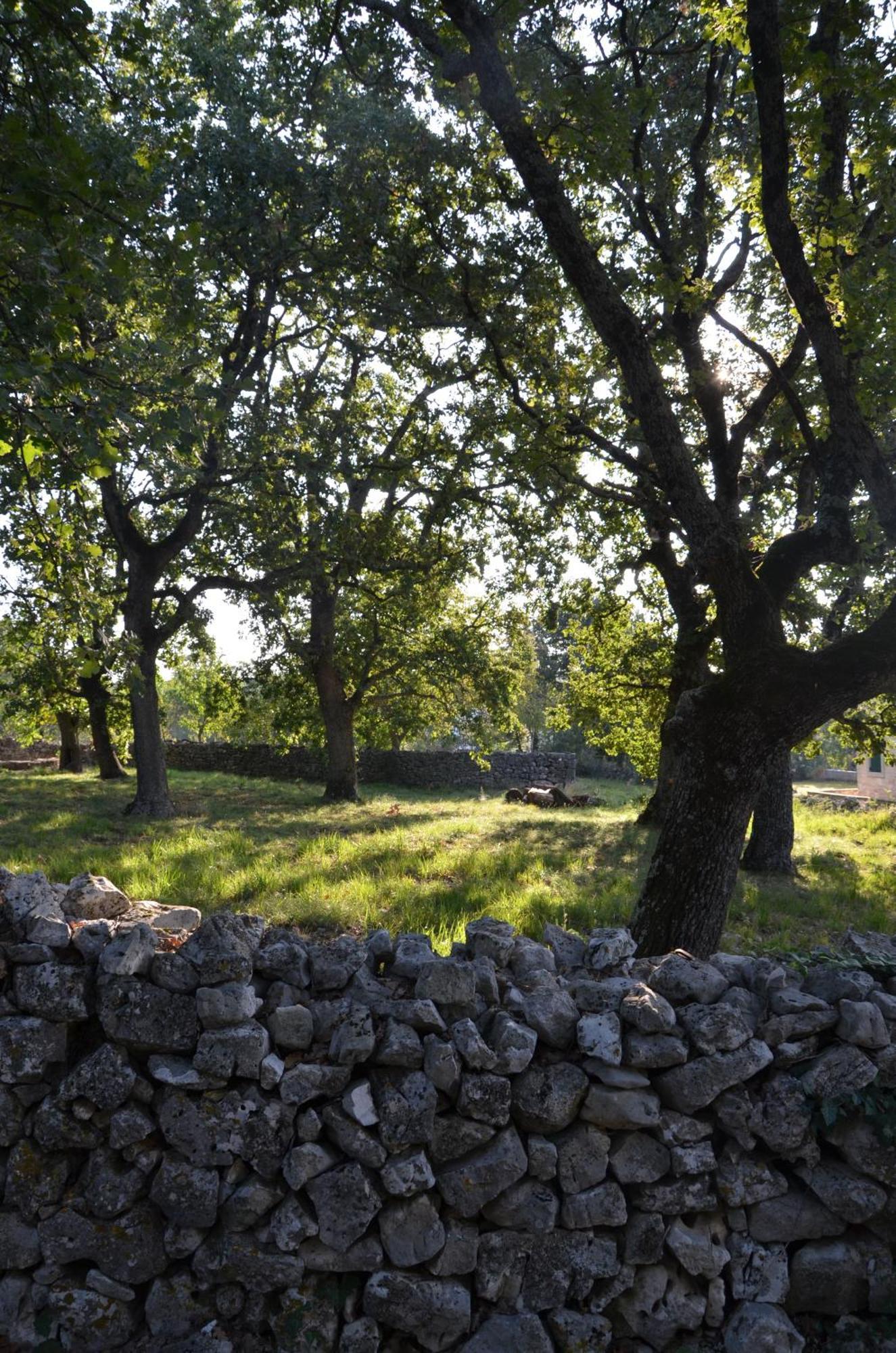 Villa Olivetta By Istrian Country Houses Barat  Exteriér fotografie