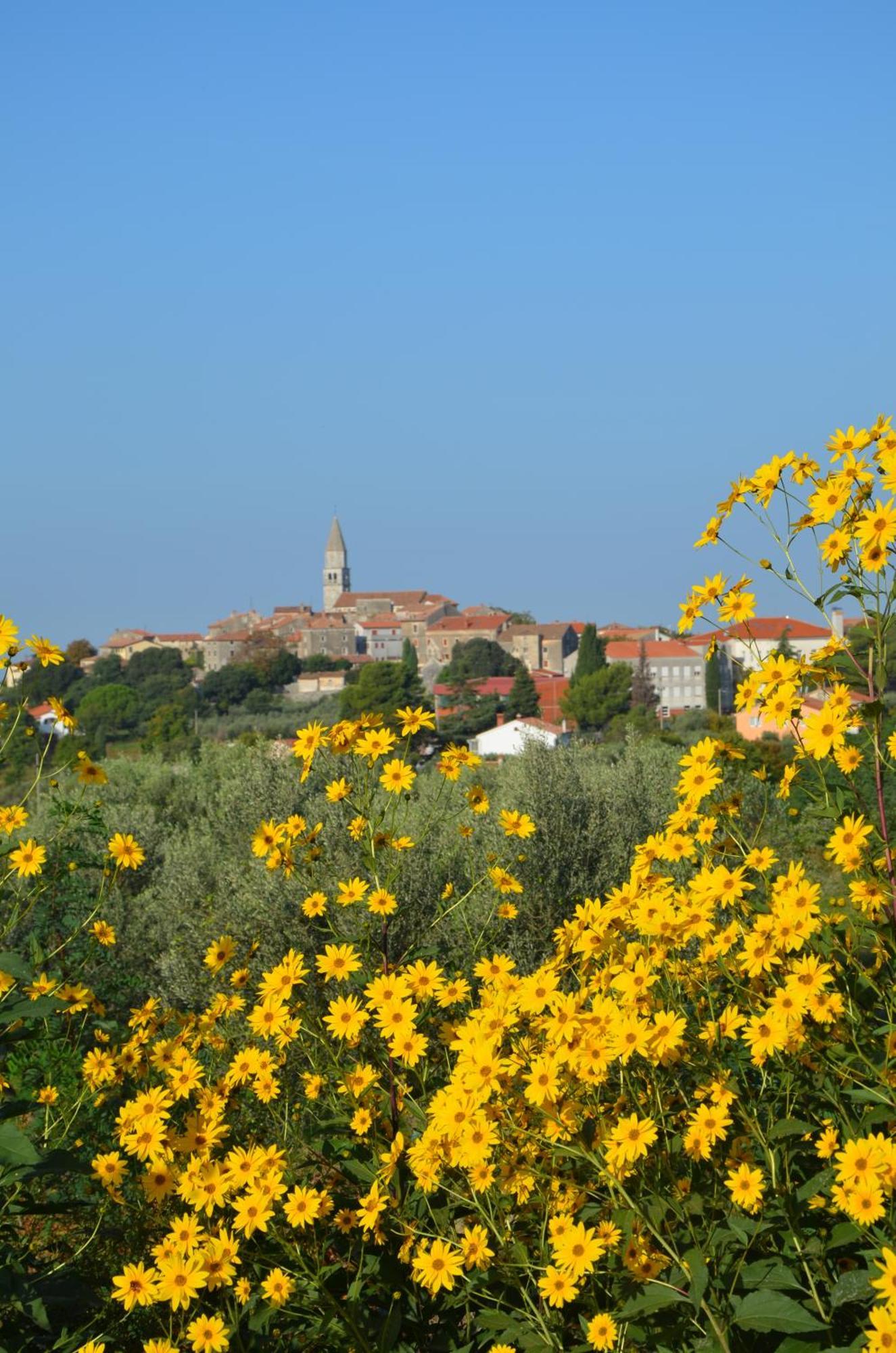 Villa Olivetta By Istrian Country Houses Barat  Exteriér fotografie