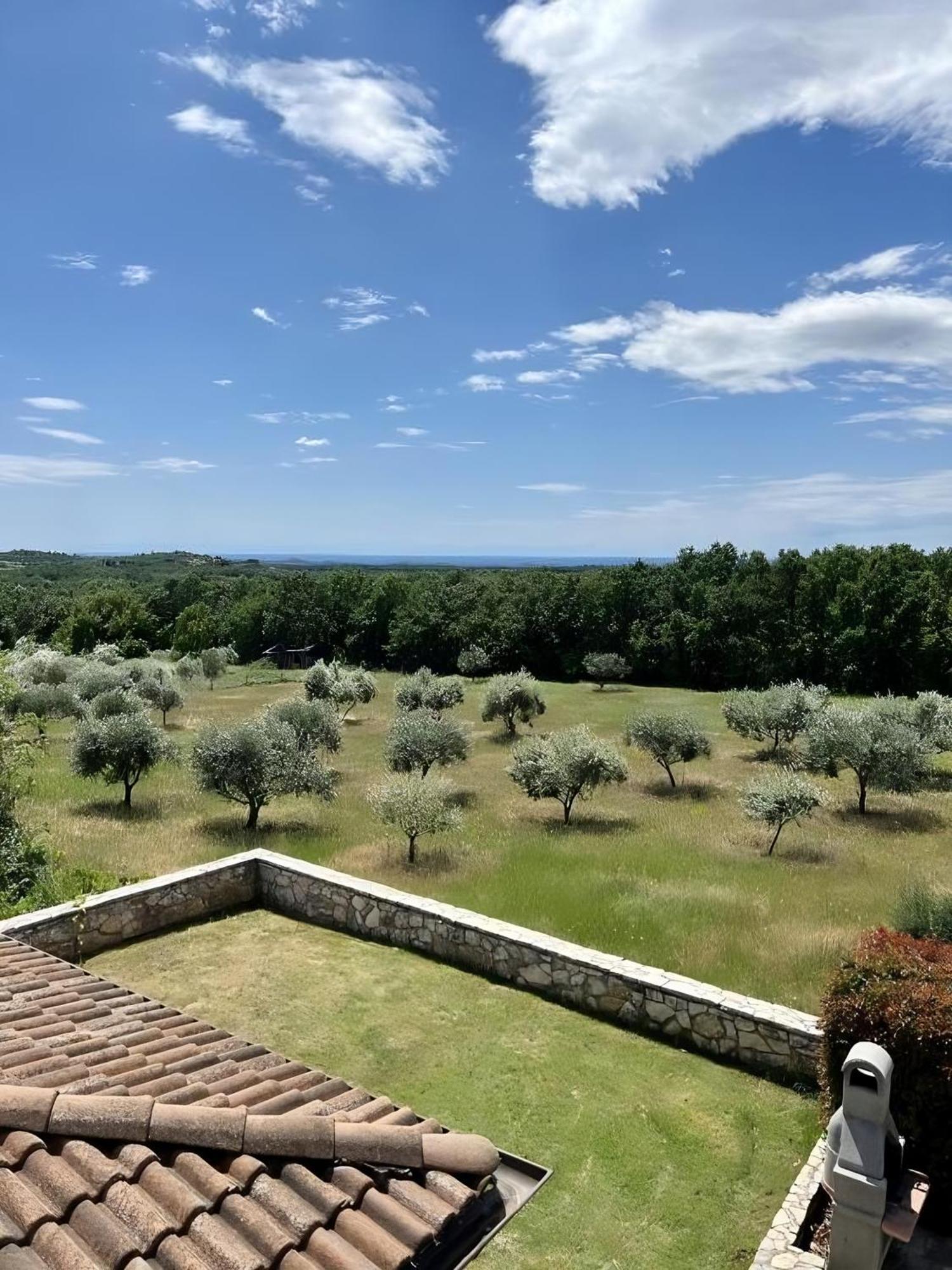 Villa Olivetta By Istrian Country Houses Barat  Exteriér fotografie