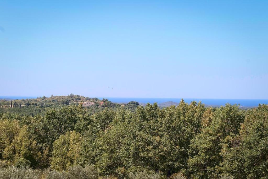 Villa Olivetta By Istrian Country Houses Barat  Exteriér fotografie